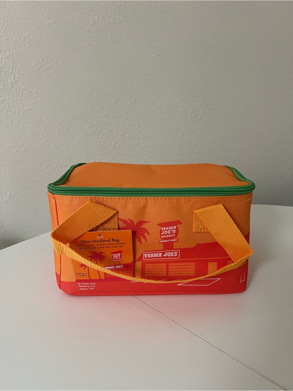 Trader Joe's Mini Insulated Cooler Bag